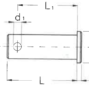 PPF12338 - BOLTED PIN Ø10